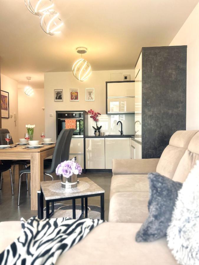 Downtownapartments Andy Air-Conditioned, Underground Parking Available Rzeszow Ngoại thất bức ảnh