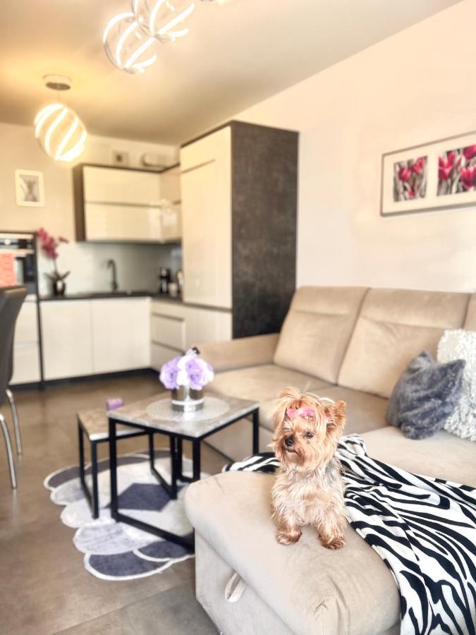 Downtownapartments Andy Air-Conditioned, Underground Parking Available Rzeszow Ngoại thất bức ảnh